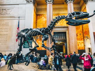 美国自然历史博物馆