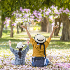 Asian mother and daughter taking photo in the park together with pink flower on floor,Concept of family travel.