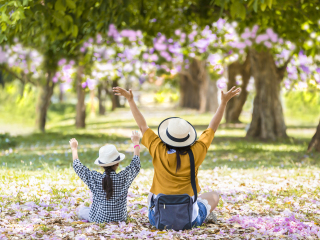 亚龙湾热带天堂森林公园