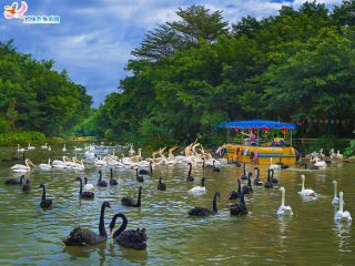 长隆飞鸟乐园