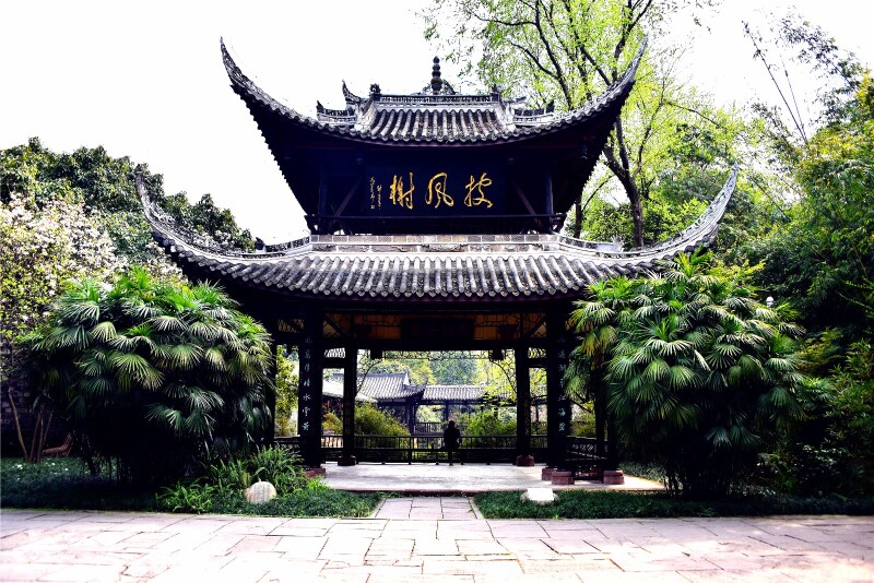 【首发】#轻妆出行 # 三苏故里赏樱花