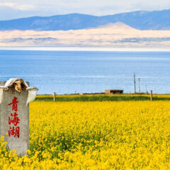 Qinghai Lake, Qinghai China