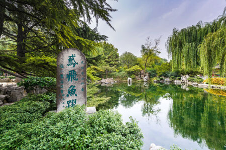 <蓬莱-烟台-威海-泰山-曲阜-济南5日游>无购物，不走回头路，含泰山山下行景交，**导游带团，3晚商务酒店