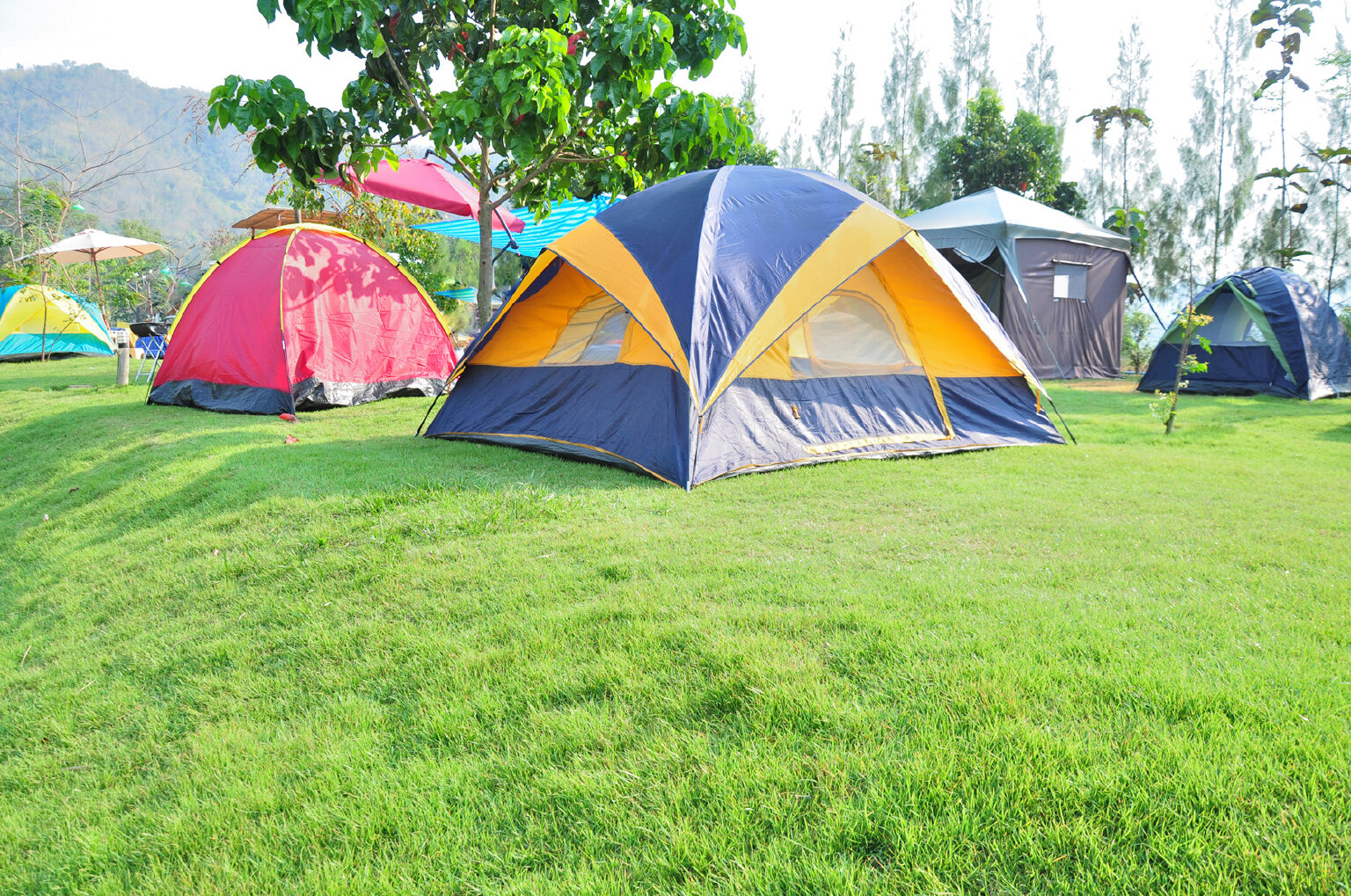野趣国际营地丨离城市更近的绿野仙踪就在江宁