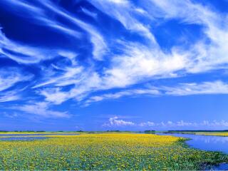 七星河湿地生态旅游区