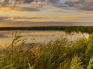七星河湿地生态旅游区