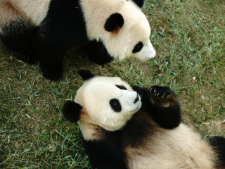 天目湖南山竹海