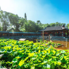 景点模块 