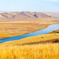 秋天额尔古纳河
