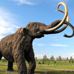 内蒙古满洲里市扎赉诺尔猛犸公园