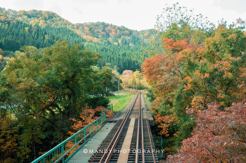 日本秋田,赴一場滿山遍野的紅葉和熱氣騰騰的溫泉之約_秋田縣遊記