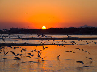 北戴河海滨风景度假区