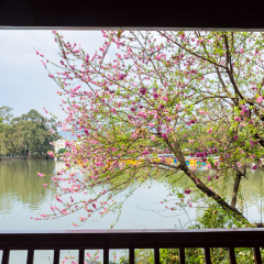 福州西湖公园