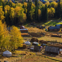 白哈巴人家 景点模块
