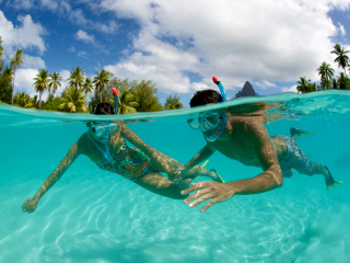 洲际泰拉索度假村