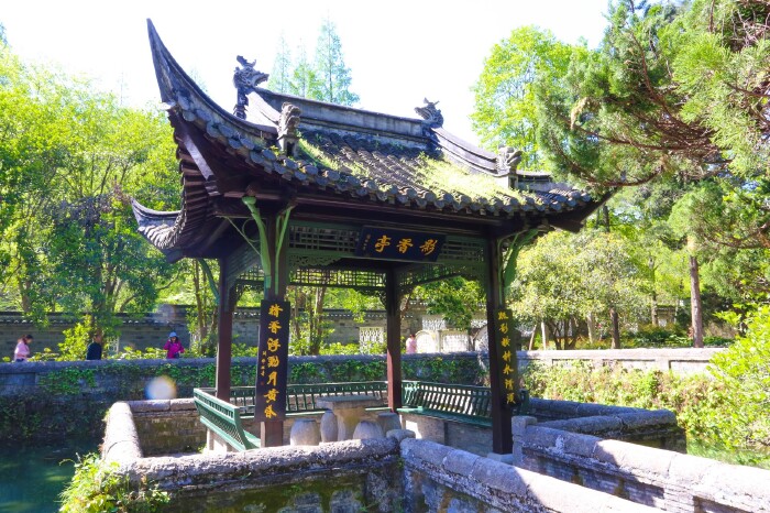 只是这时候已经过了花期,已经闻不到花香了.