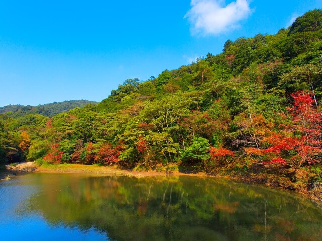 <a target='_blank' href='https://bbs.youxiake.com/mdd/1642.html'>深圳</a>