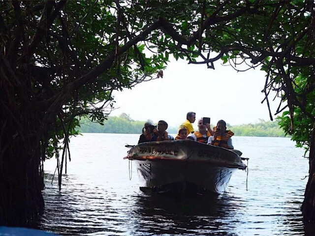 斯里兰卡-圣玛丽教堂-雅拉国家公园-南部海滨-