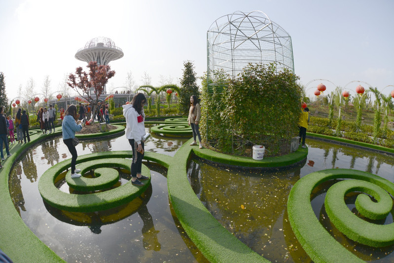 醉美春色花為伴滁州花博園打造城市亮麗新名片