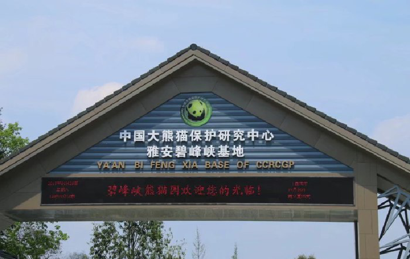 你好重庆你好碧峰峡