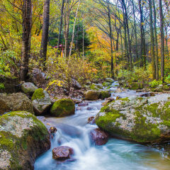 红叶谷（蛟河）