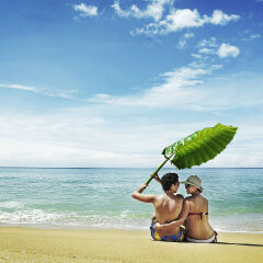 couple under tropical leaf on the beach