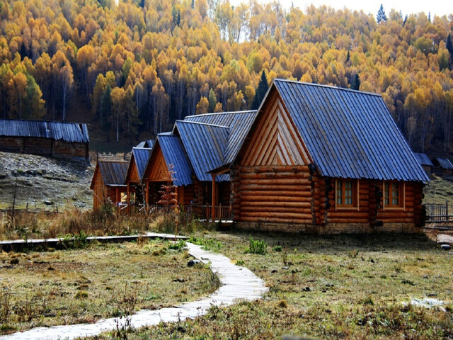 禾木特色小木屋