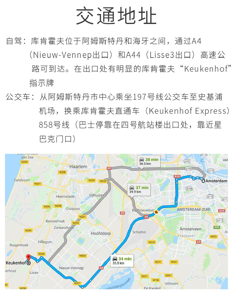 【荷兰】库肯霍夫公园郁金香一日游(可选门票