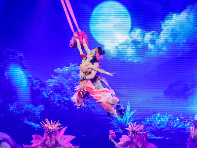 宁乡宋城炭河古城+炭河千古情演出 贵宾席门票