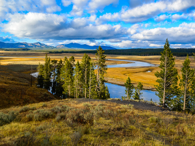 Top 10 Yellowstone Attractions: Discover the Wonders of America's First National Park