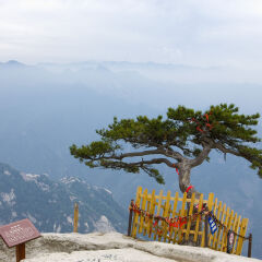 景点模块 