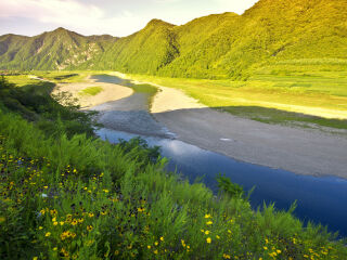 绿江村