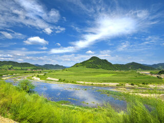 绿江村