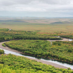 额尔古纳河湿地