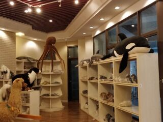 银杏湖生态旅游区