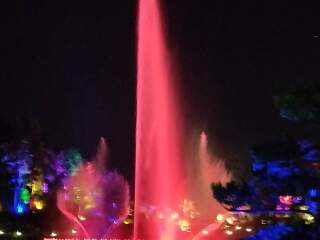 银杏湖生态旅游区