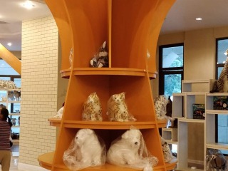 银杏湖生态旅游区