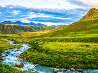 爱尔兰国家植物园