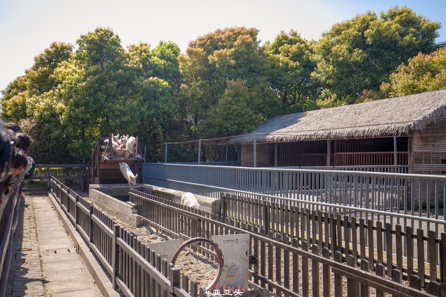 3天2晚张家港永联小镇玩法