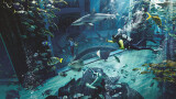 亚特兰蒂斯失落的空间水族馆