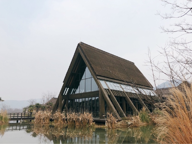 一花一世界灵山小镇拈花湾平常居
