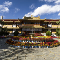 西藏拉萨罗布林卡 景点模块