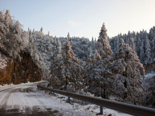 阳明山国家森林公园