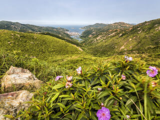 上川岛