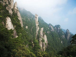 巨蟒出山
