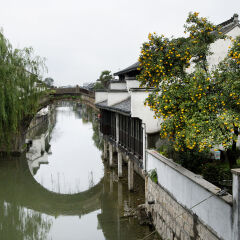 中国古镇经典-苏州太仓沙溪古镇石桥与庭院