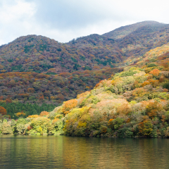 Season change at Lake Ashi, Autumn Landscape with colorful forest