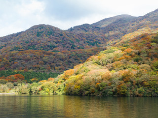 芦之湖