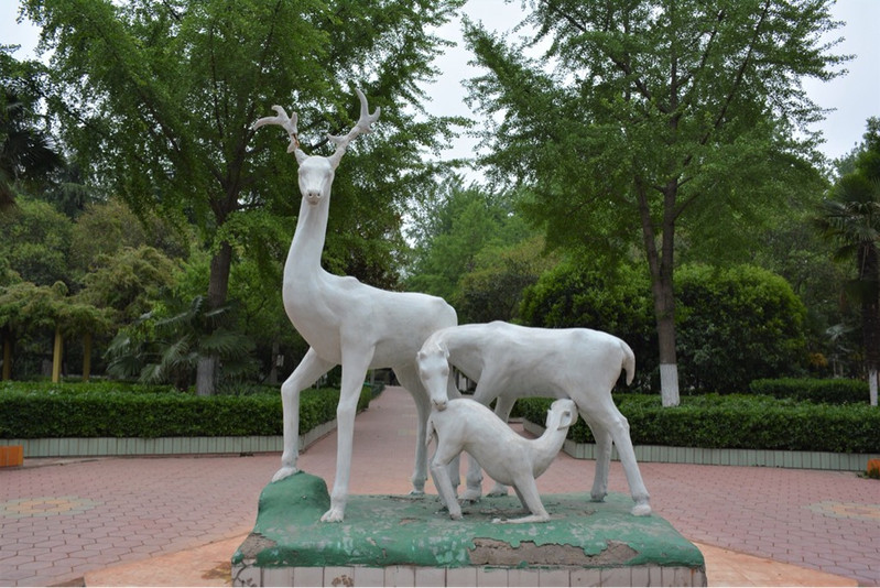 漯河市人民公园动物园图片
