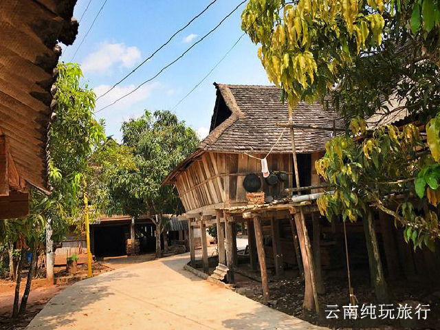 云南昆明+西双版纳4日3晚跟团游 真纯玩◆无限